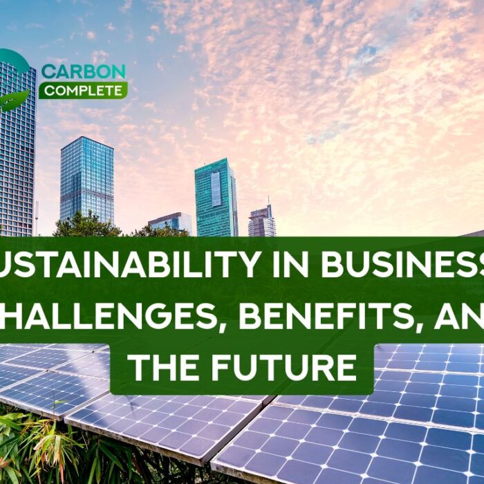 Sustainability in Business