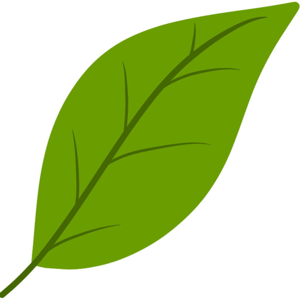 CBAM Training Carbon Complete CBAM Training Carbon Complete