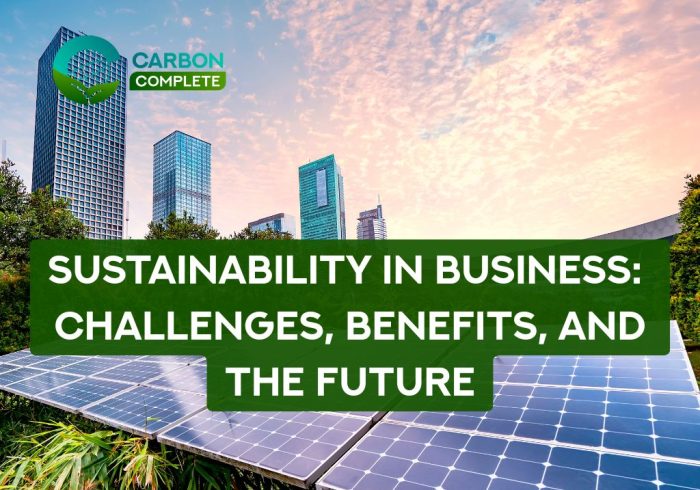 Le développement durable dans les entreprises